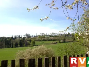 Prodej chalupy, Planá, 95 m2