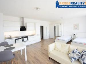Pronájem bytu 1+kk, Beroun, Na Veselou, 42 m2
