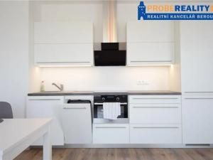 Pronájem bytu 1+kk, Beroun, Na Veselou, 42 m2