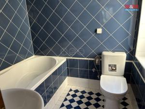 Pronájem bytu 1+1, Králův Dvůr - Karlova Huť, Tovární, 32 m2