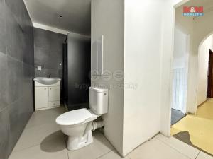 Prodej bytu 2+1, Olšany, 50 m2