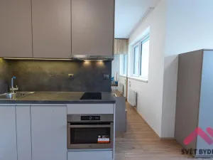 Pronájem bytu 1+kk, Praha - Holešovice, V háji, 40 m2