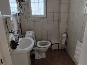 Pronájem obchodního prostoru, Cheb, Svobody, 81 m2