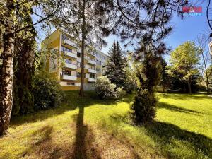 Pronájem bytu 1+kk, Nové Město nad Metují, Družstevní, 28 m2
