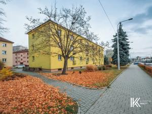 Pronájem bytu 3+kk, Pardubice, Dašická, 72 m2