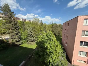 Pronájem bytu 2+1, Brno, Třískalova, 52 m2