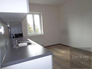 Pronájem bytu 1+1, Teplice, Denisova, 55 m2