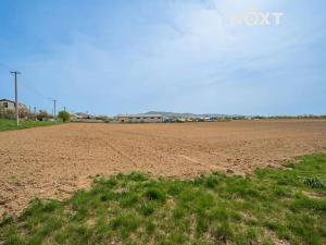 Prodej komerčního pozemku, Zábřeh, Lesnická, 16000 m2