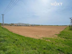 Prodej komerčního pozemku, Zábřeh, Lesnická, 16000 m2