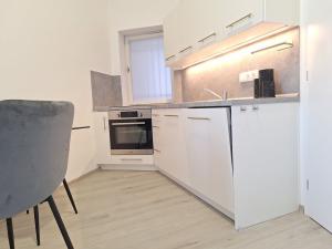 Pronájem bytu 1+1, Ostrava - Moravská Ostrava, Vojanova, 30 m2