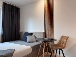 Pronájem bytu 1+kk, Brno, Cejl, 26 m2