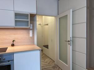 Pronájem bytu 1+kk, Brno, Cejl, 26 m2