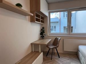 Pronájem bytu 1+kk, Brno, Cejl, 26 m2