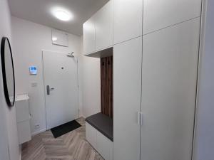 Pronájem bytu 1+kk, Brno, Cejl, 26 m2
