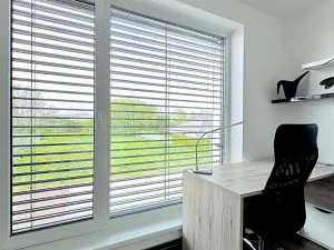 Pronájem rodinného domu, Prostějov, Žitná, 380 m2