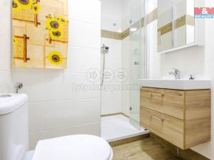 Pronájem bytu 1+kk, Zákupy, Družstevní, 22 m2