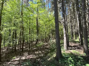 Prodej chaty, Chyňava, 52 m2