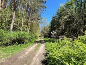 Prodej chaty, Chyňava, 52 m2