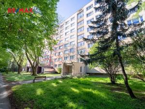 Pronájem bytu 1+1, Kolín, Masarykova, 31 m2