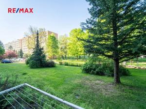 Pronájem bytu 1+1, Kolín, Masarykova, 31 m2