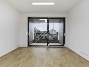 Pronájem bytu 1+kk, Praha - Žižkov, Tetauerova, 30 m2