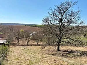 Prodej pozemku pro bydlení, Nové Bránice, 4162 m2