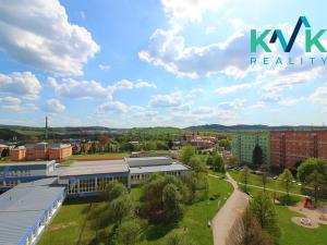 Prodej bytu 4+1, Ostrov, Lidická, 87 m2