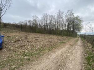 Prodej lesa, Bílé Podolí, 5201 m2
