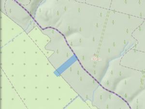 Prodej lesa, Bílé Podolí, 5201 m2
