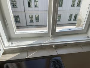 Pronájem bytu 2+1, Praha - Žižkov, Bořivojova, 75 m2
