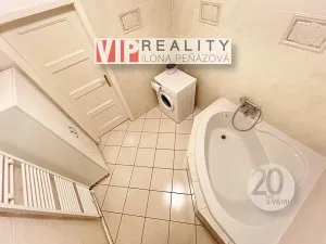 Pronájem vícegeneračního domu, Brno, Březinova, 362 m2