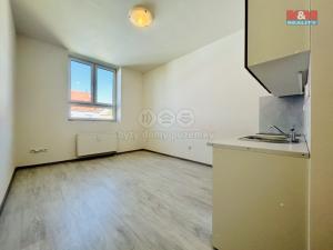 Pronájem bytu 1+kk, Janovice nad Úhlavou, Rozvojová zóna, 24 m2