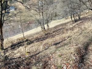 Prodej chaty, Jáchymov, tř. Čs. armády, 203 m2