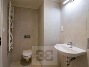 Pronájem bytu 1+kk, Praha - Hloubětín, Poděbradská, 32 m2