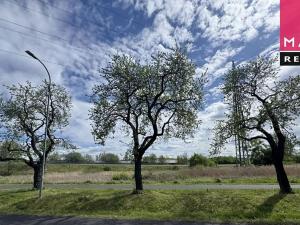 Prodej louky, Ostrov, Jáchymovská, 8734 m2