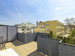 Pronájem bytu 3+kk, Praha - Žižkov, Řehořova, 92 m2