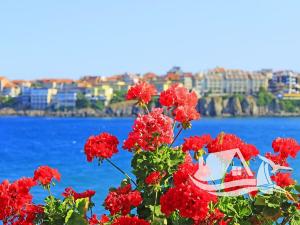 Prodej rodinného domu, Sozopol, Bulharsko, 171 m2