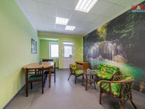 Pronájem výrobních prostor, Prostějov, Husovo nám., 416 m2