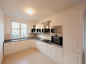 Pronájem rodinného domu, Průhonice, Pod Valem II., 350 m2