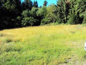 Prodej pozemku pro bydlení, Letovice, 1419 m2