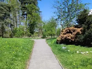 Prodej bytu 3+1, Kladno, Jaroslava Ježka, 75 m2