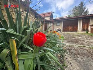 Prodej rodinného domu, Kralovice, Pod Kasárny, 360 m2