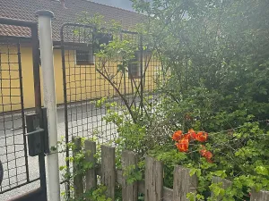 Prodej rodinného domu, Kralovice, Pod Kasárny, 360 m2