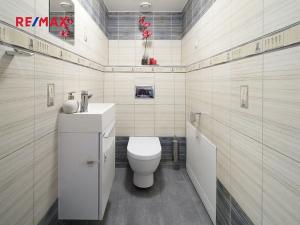 Pronájem bytu 2+1, Plzeň, Černická, 65 m2