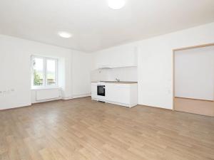 Pronájem bytu 1+kk, Třemešná, 40 m2