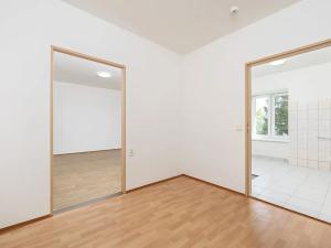 Pronájem bytu 1+kk, Třemešná, 40 m2