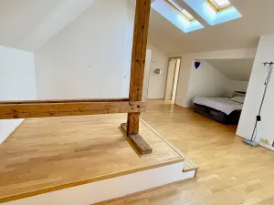 Pronájem bytu 2+kk, Praha - Vinohrady, Polská, 120 m2