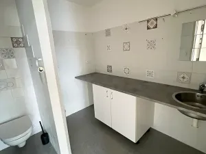 Pronájem bytu 2+kk, Praha - Vinohrady, Polská, 120 m2