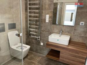 Pronájem bytu 3+kk, Smiřice - Rodov, 80 m2