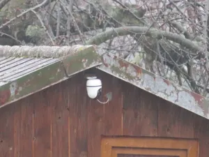 Dražba chaty, Teplice, Duchcovská, 20 m2